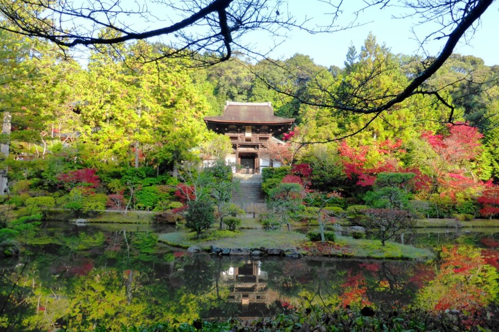 Enjo-ji, Romon (Gate) And Garden