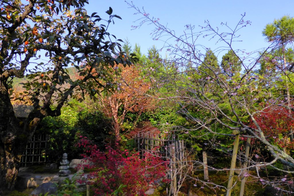 Jikko-in, Autumn leaves in Keishin-en (Garden)