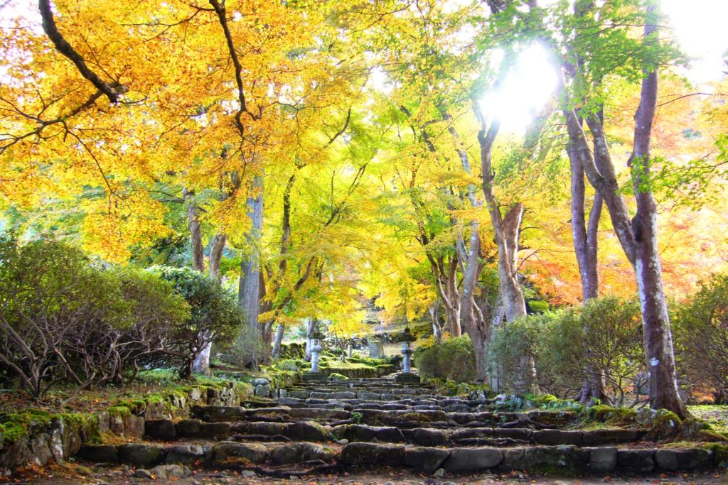 Kogen-ji, Precincts