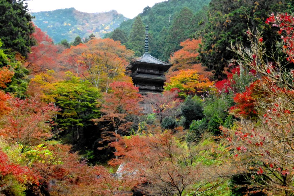 Kogen-ji, Tahoto (Pagoda)