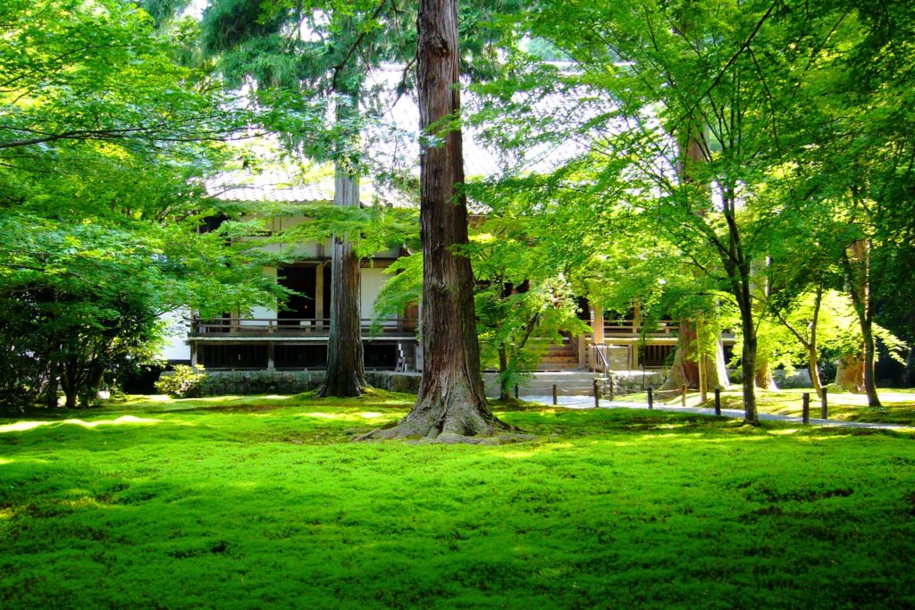 Sanzen-in, Yusei-en (Garden)