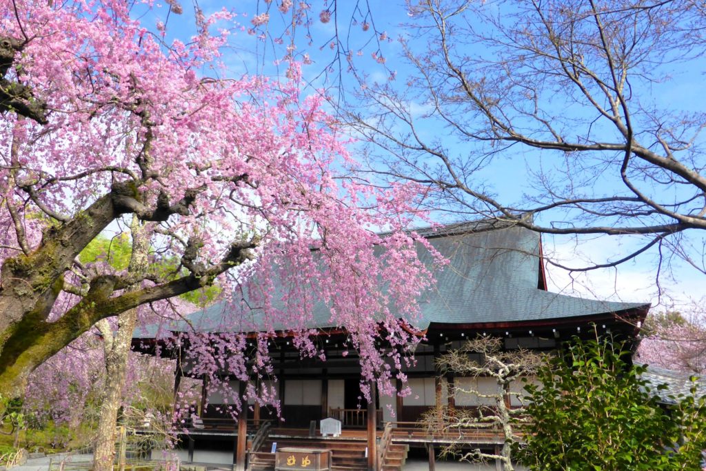 Tenryu-ji, Tahoden (Hall of Many Treasures)