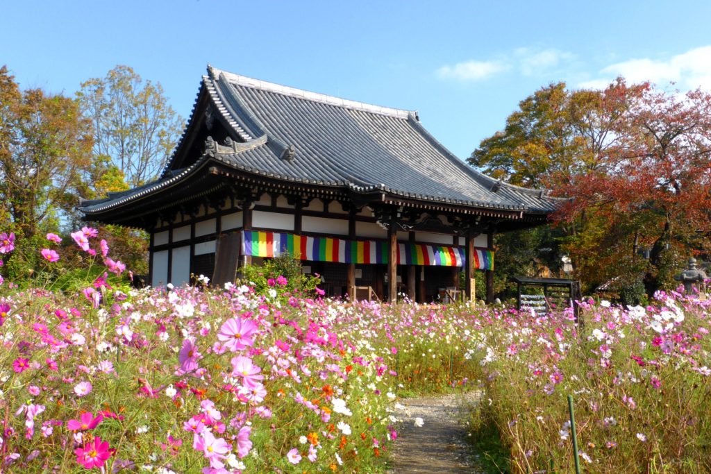 Hannya-ji, Precincts