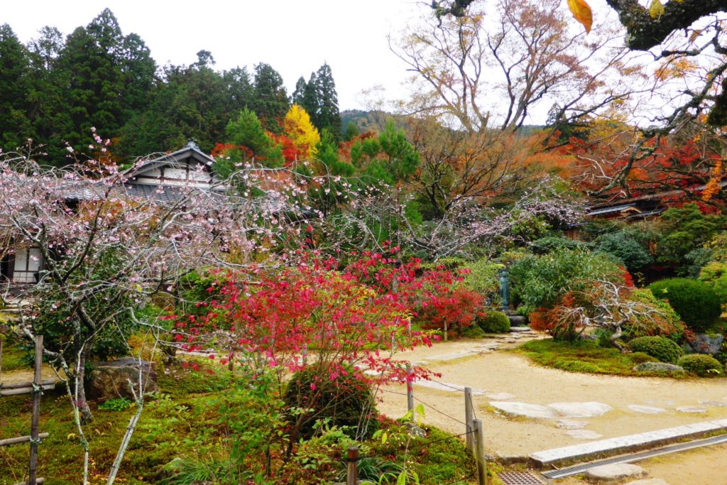 Jikko-in, Autumn leaves in Keishin-en (Garden)