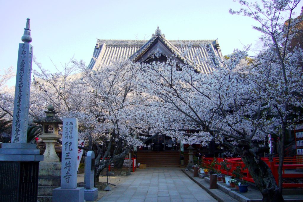 Kimii-dera, Hondo (Main Hall)