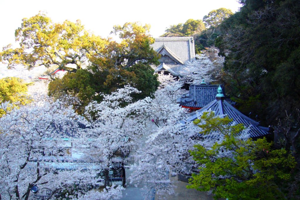 Kimii-dera, Precincts