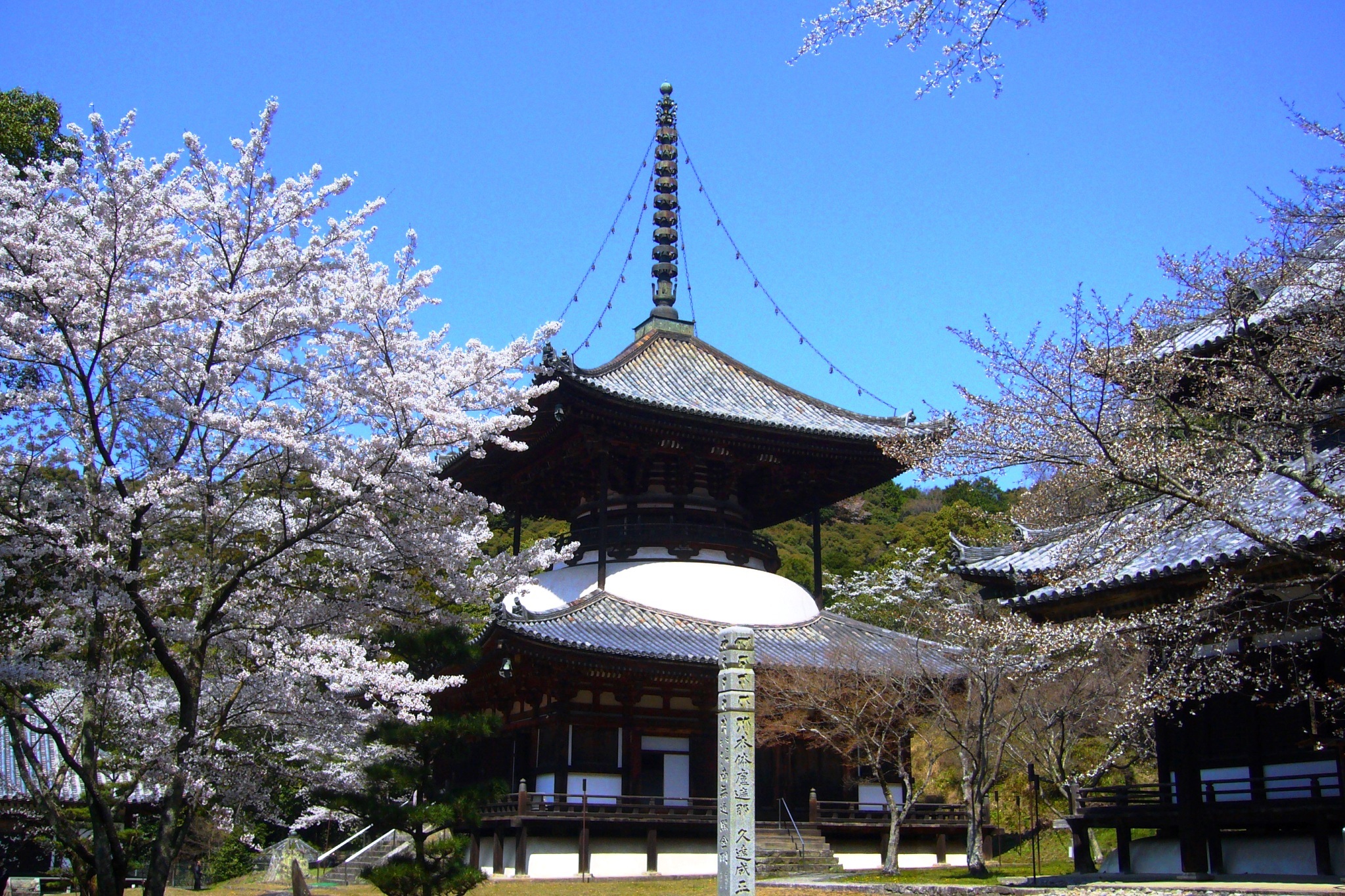 Negoro-ji, Daito (Pagoda)