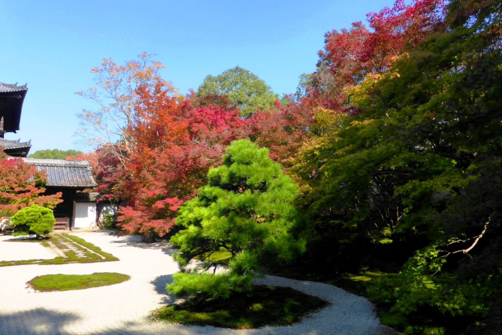 Tenju-an, Garden