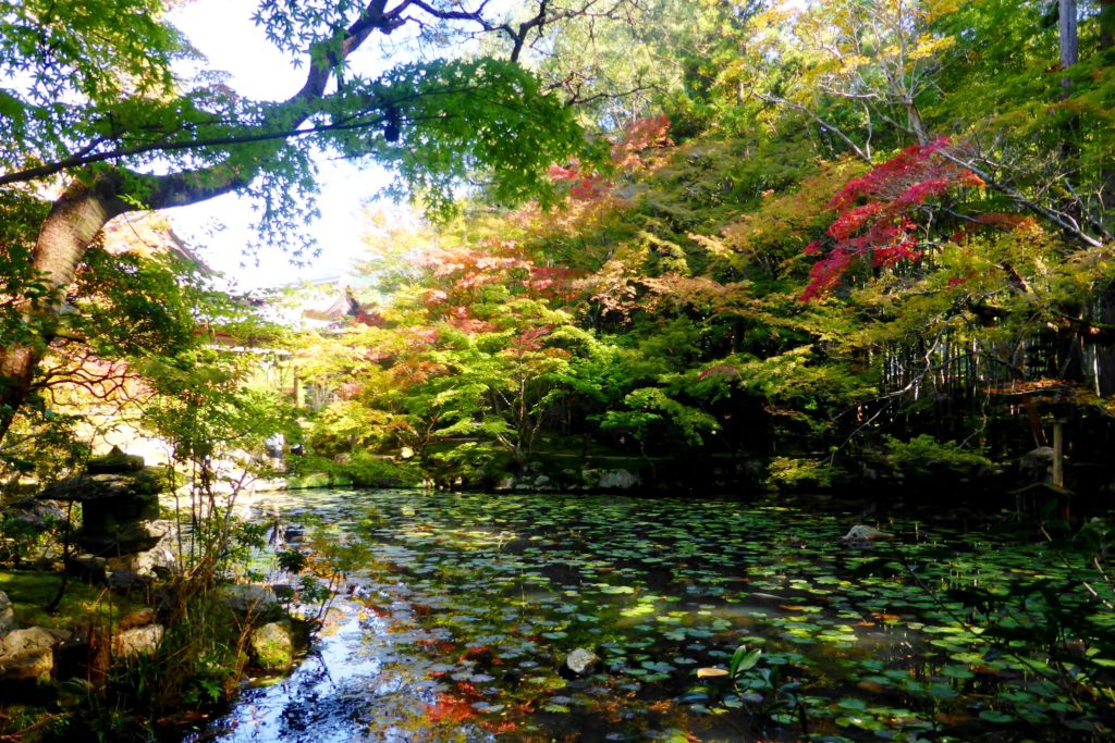 Tenju-an, Garden