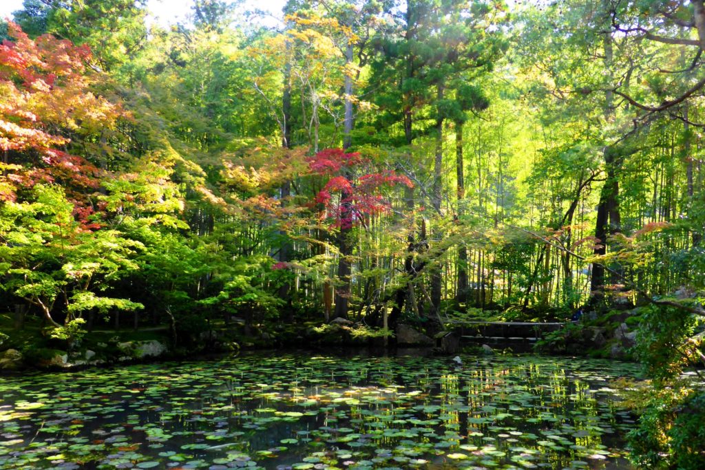 Tenju-an, Garden