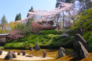 Komyo-in, Hashintei (Garden)