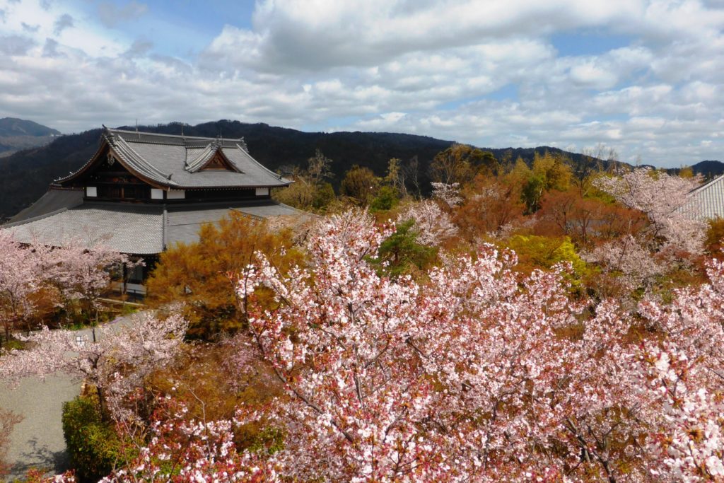 Shogunzuka Seiryu-den, Precincts