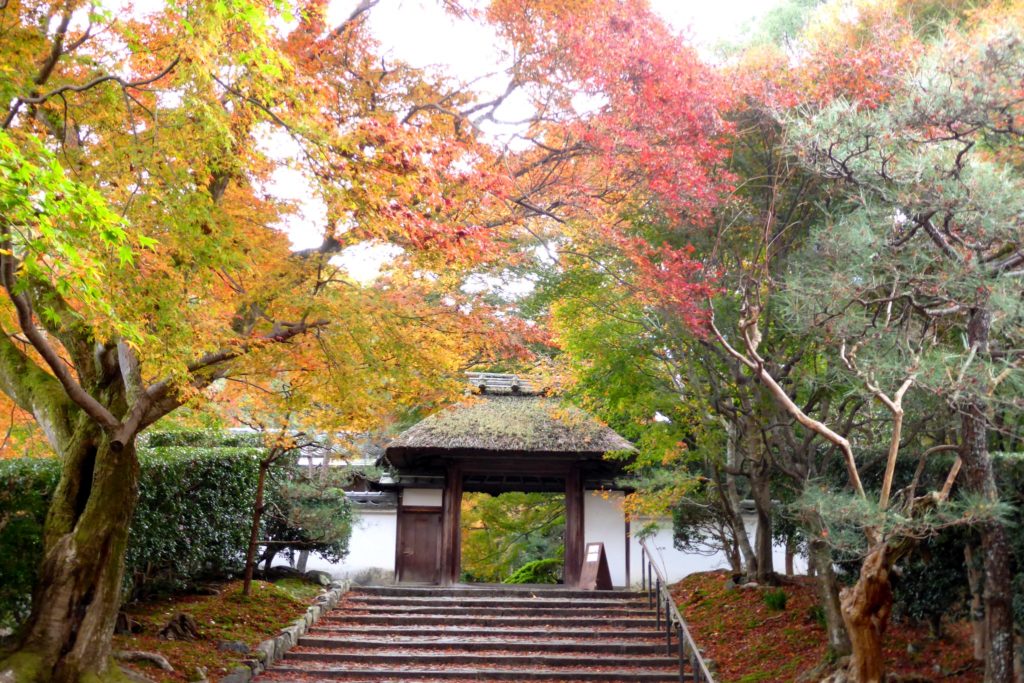 Anraku-ji, Sanmon (Gate) and autumn leaves