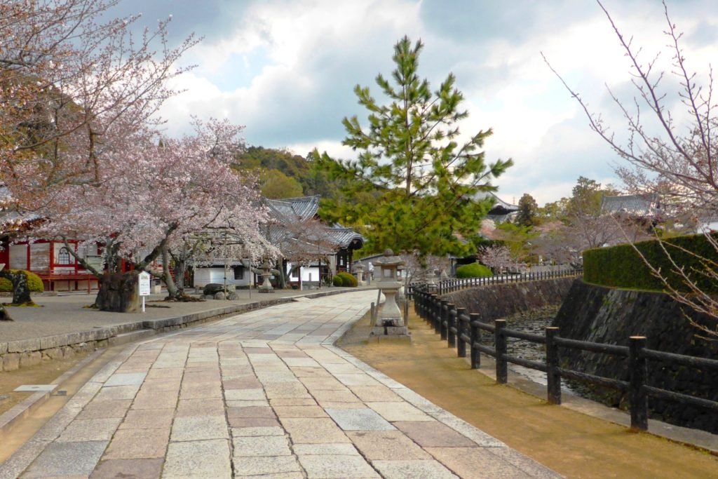 Kokawa-dera, Approach and Cherry blossoms